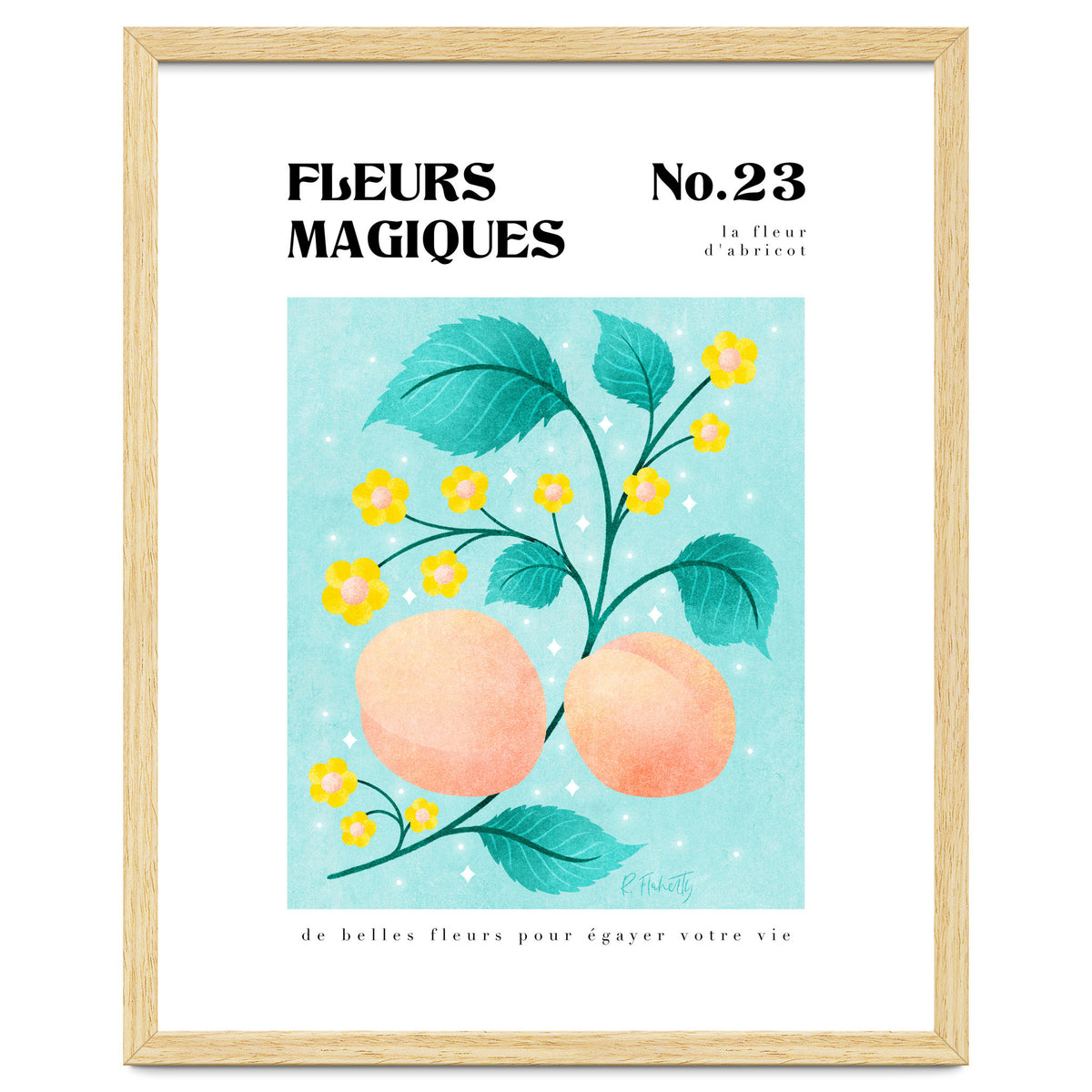 Magical Flowers No.23 Apricot Blossom