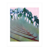 Palm Springs (Print Only) thumbnail