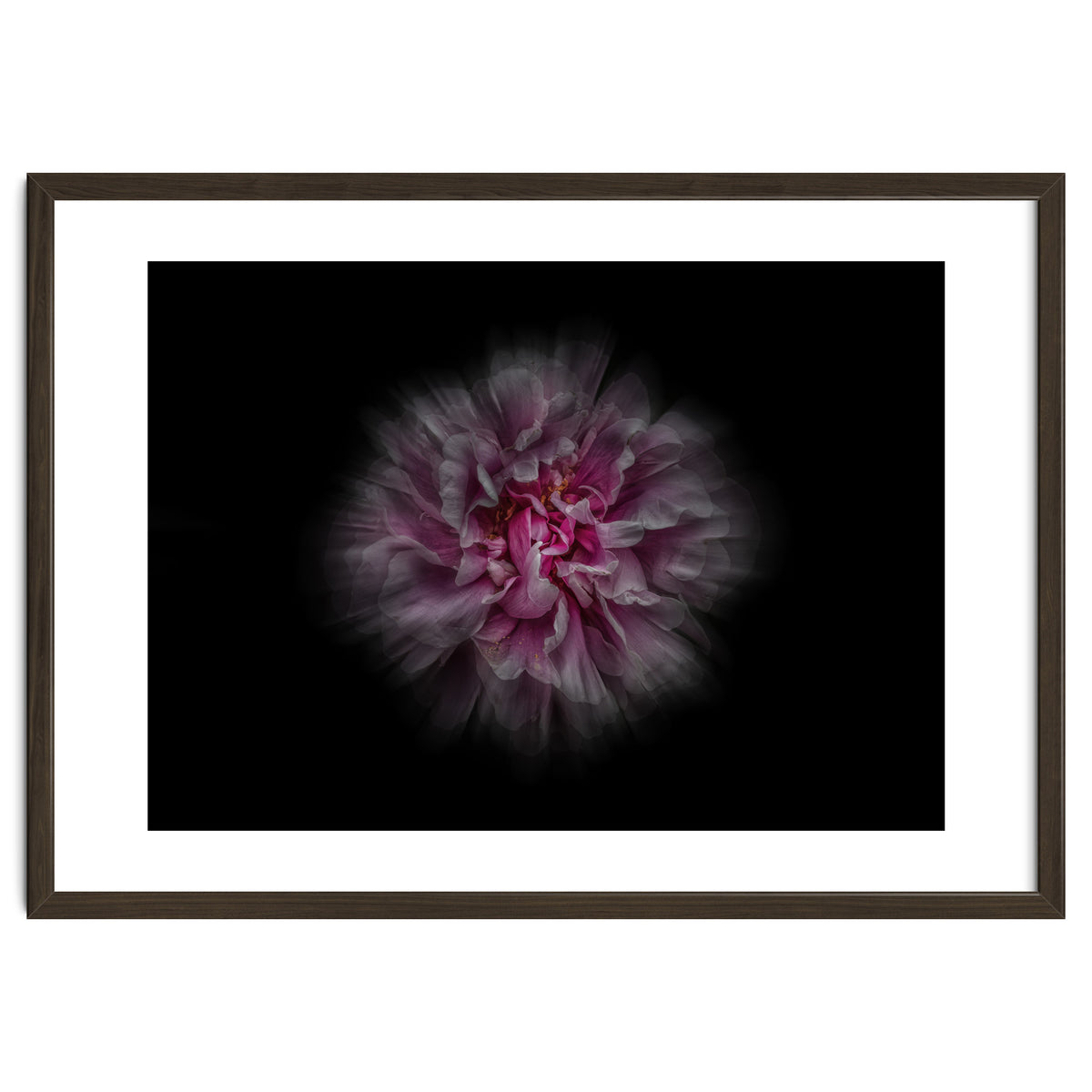 Backyard Flowers No 116 Color Flow Version