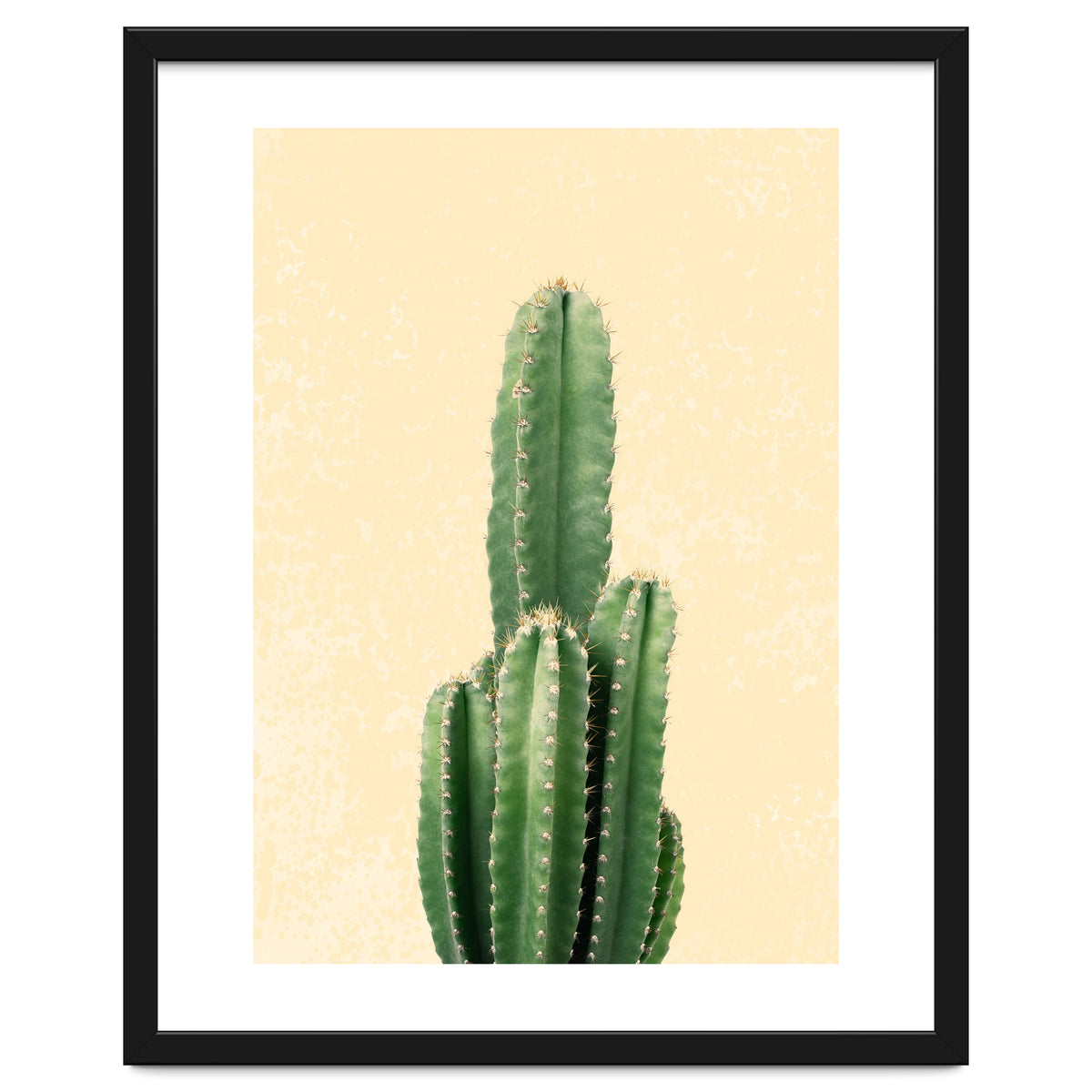 Tall Cactus, Minimal Desert Saguaro Art