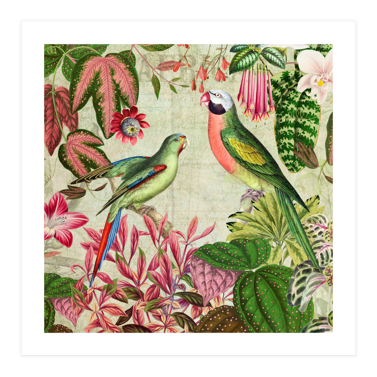 Exotic Lush Rainforest With Colorful Parrots And Flowers (Print Only)