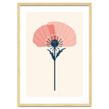 Pink Half Poppy thumbnail