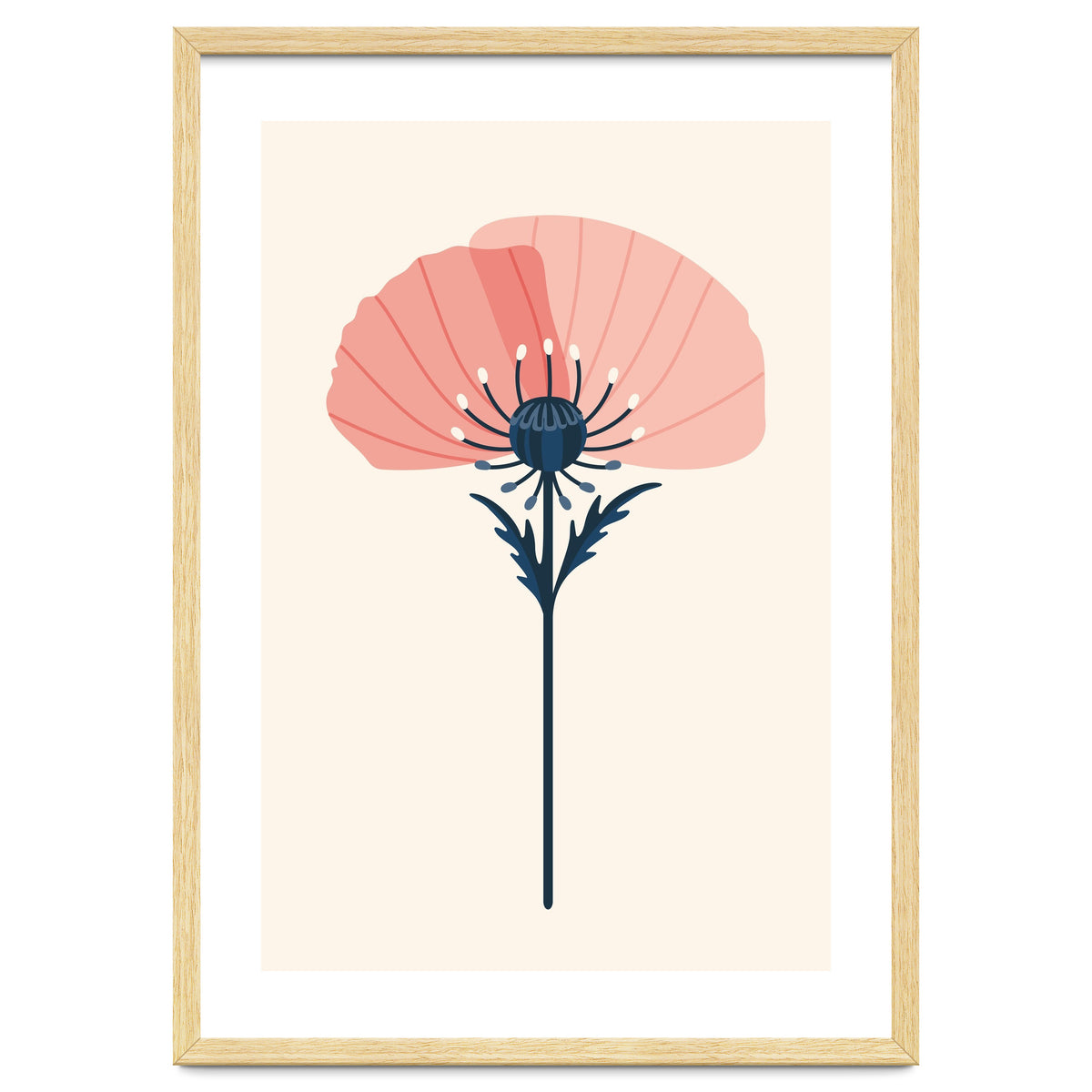 Pink Half Poppy