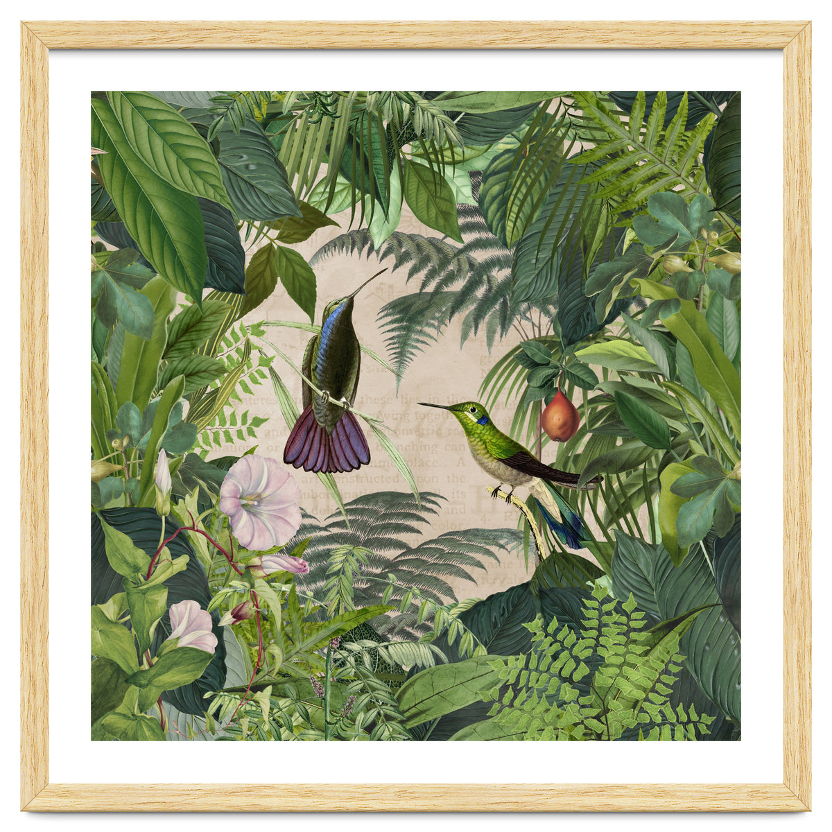 Tropical Hummingbird Jungle