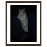 Leaves No 3 Color Version thumbnail