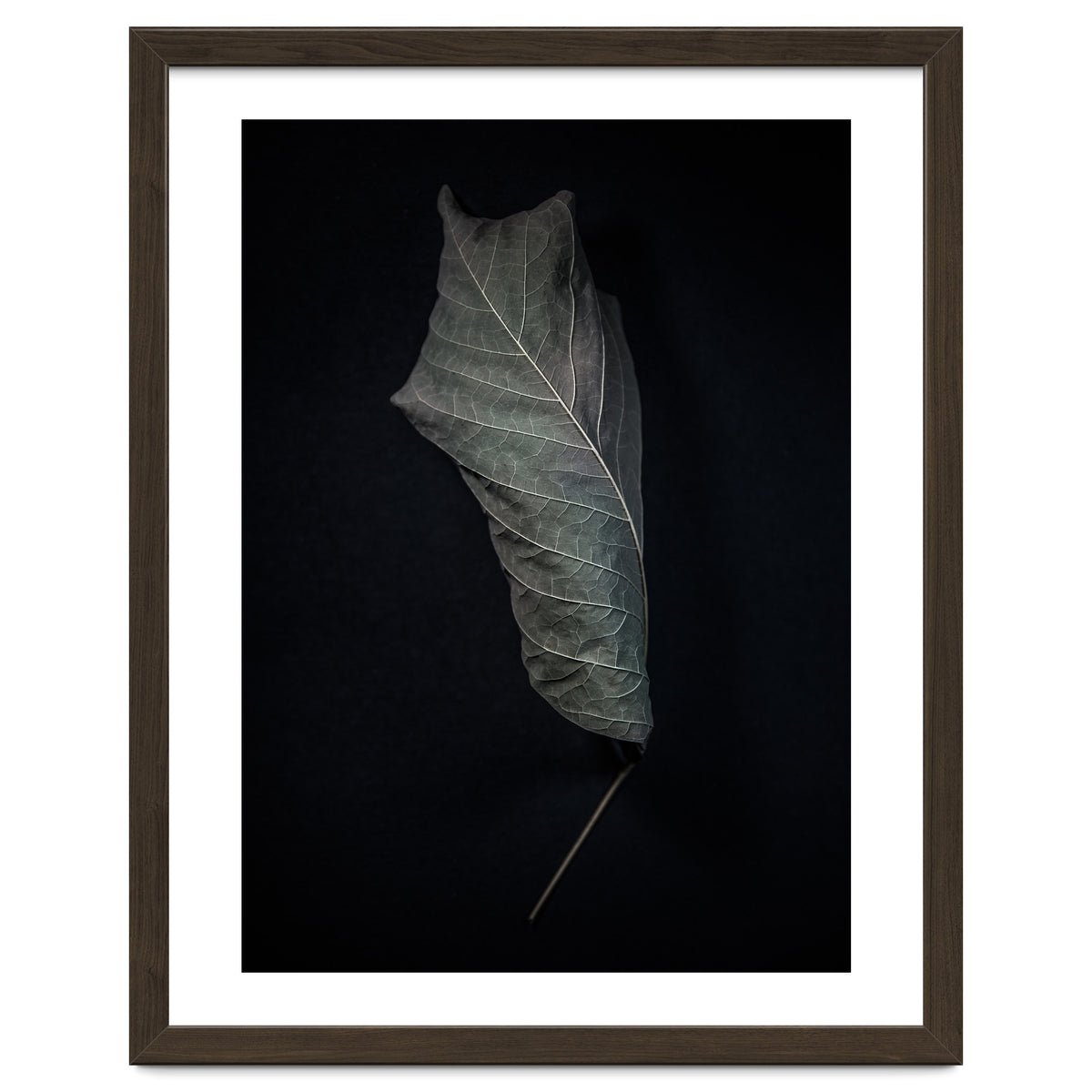 Leaves No 3 Color Version