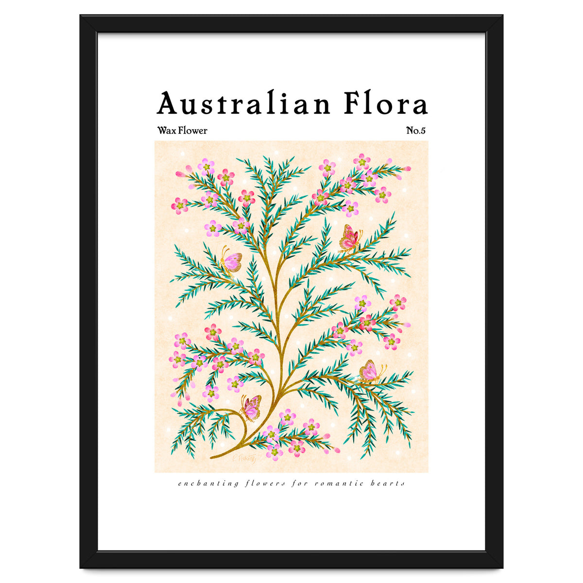 Australian Flora: Wax Flower