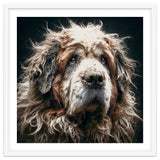 Old Dog 01 thumbnail