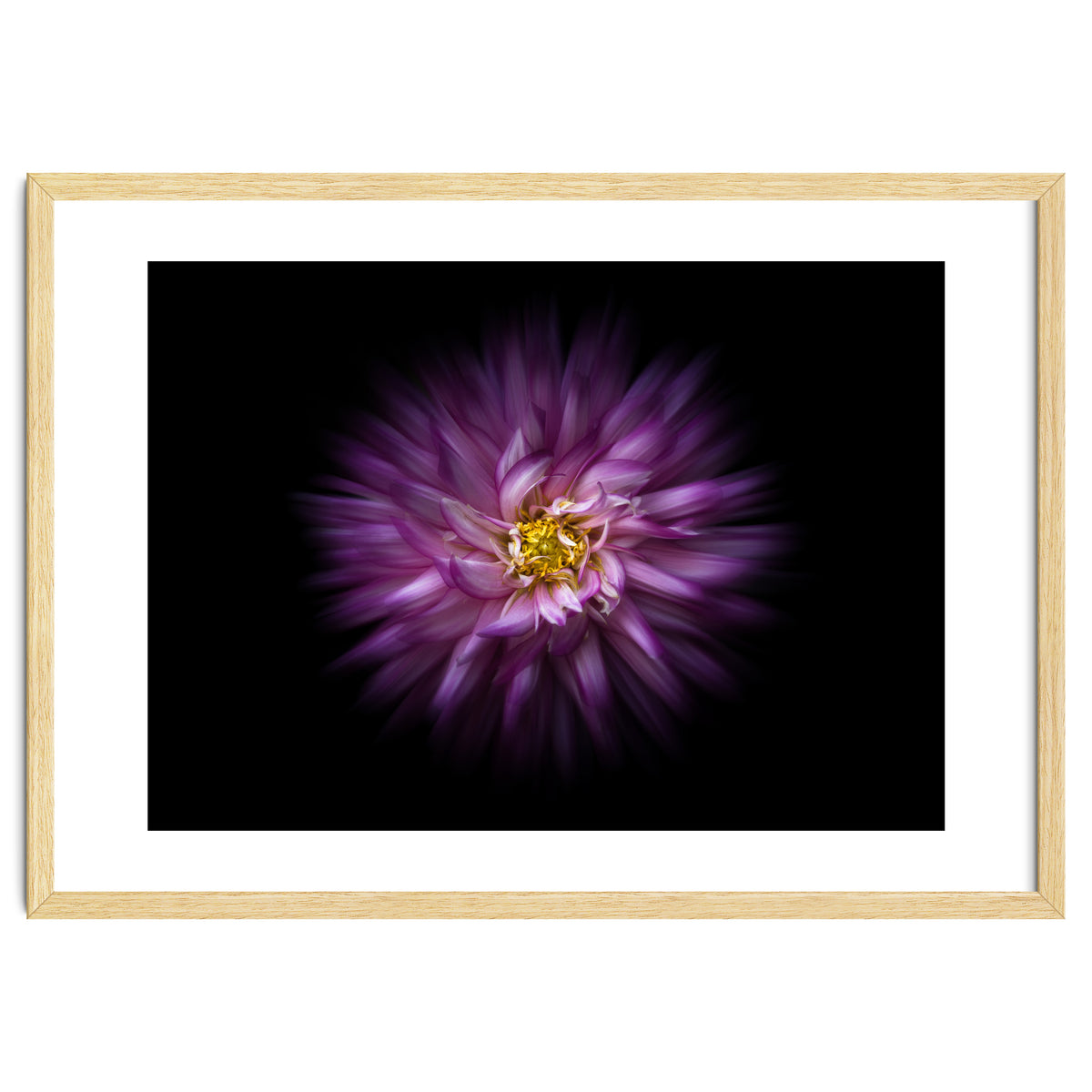 Backyard Flowers No 20 Color Flow Version