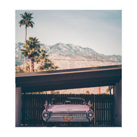 Palm Springs Pink (Print Only)