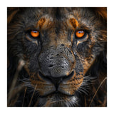 Majestic Lion Face Intense Orange Eyes Close Up (Print Only) thumbnail