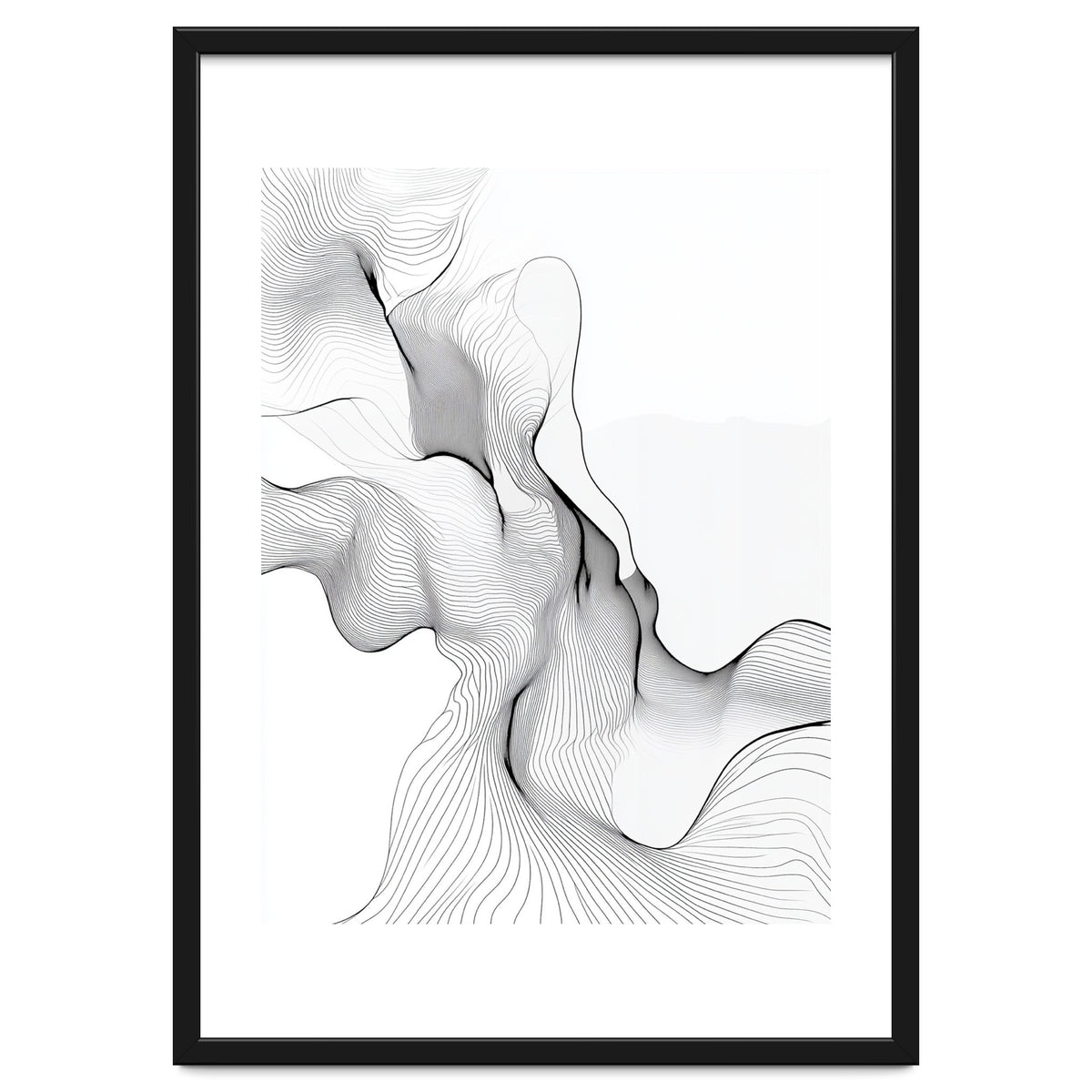 Abstract Black And White Flowing Lines