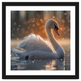 Majestic Swan Gliding On Water During Sunset Golden Hour Wildlife thumbnail