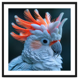 Cockatoo Bird With Orange Crest Portrait thumbnail