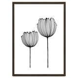 Two wildflowers thumbnail