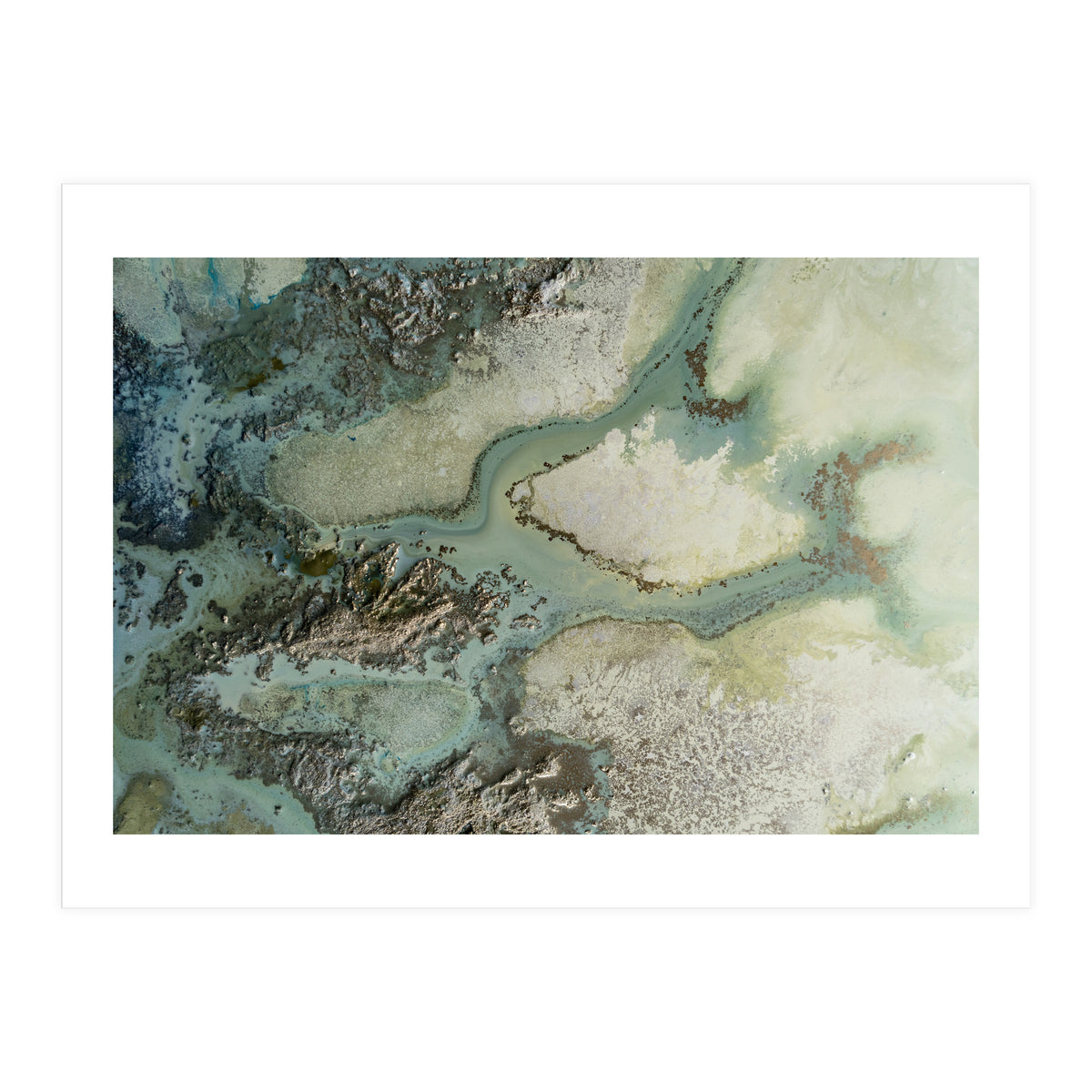 Evergreen (Print Only)