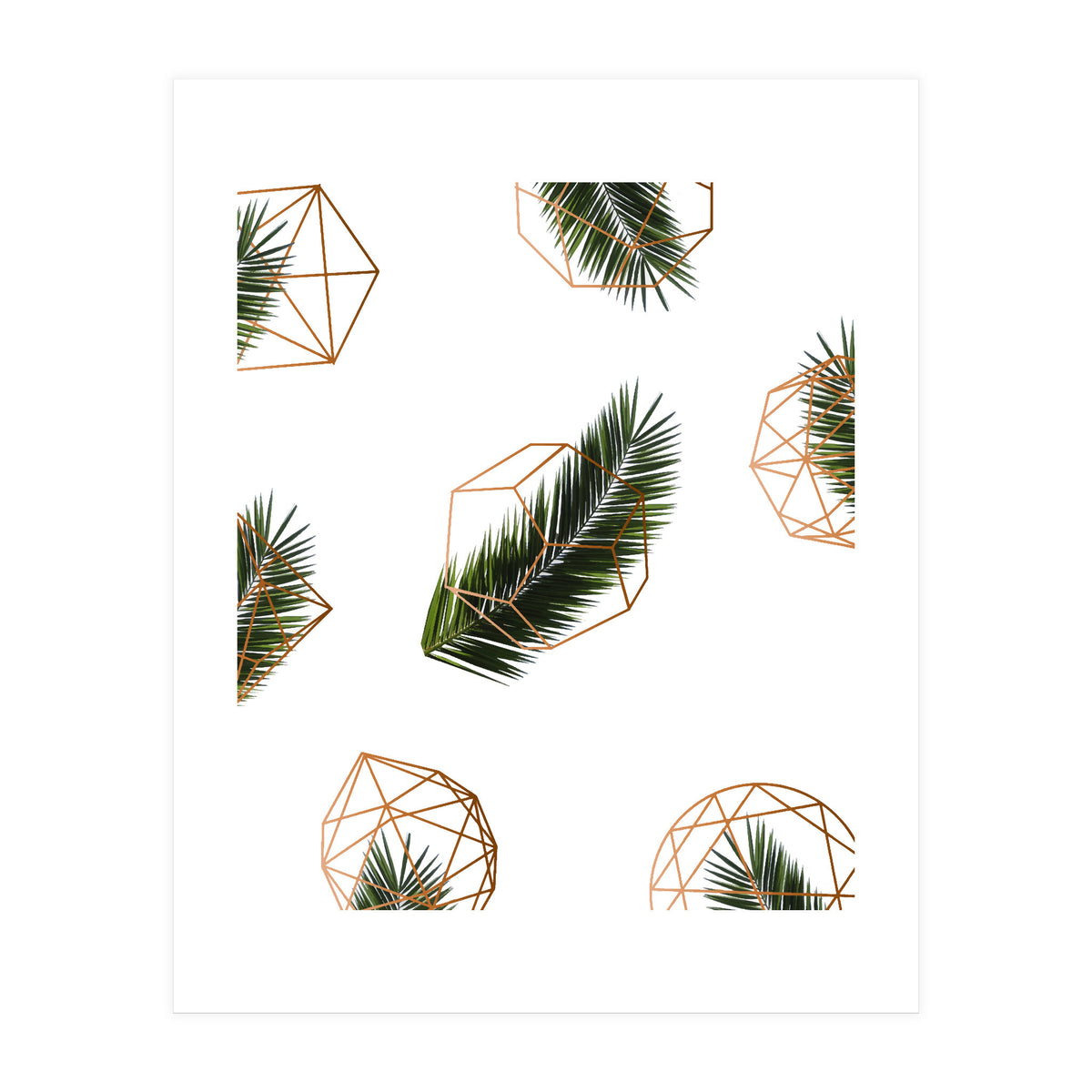 Palm  Geometry V2 (Print Only)