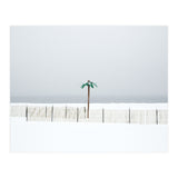 Fake palm tree in the winter snow beach (Print Only) thumbnail