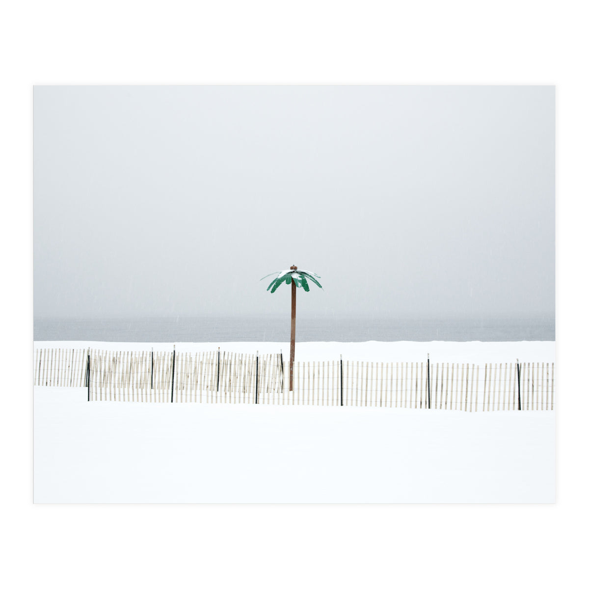 Fake palm tree in the winter snow beach (Print Only)