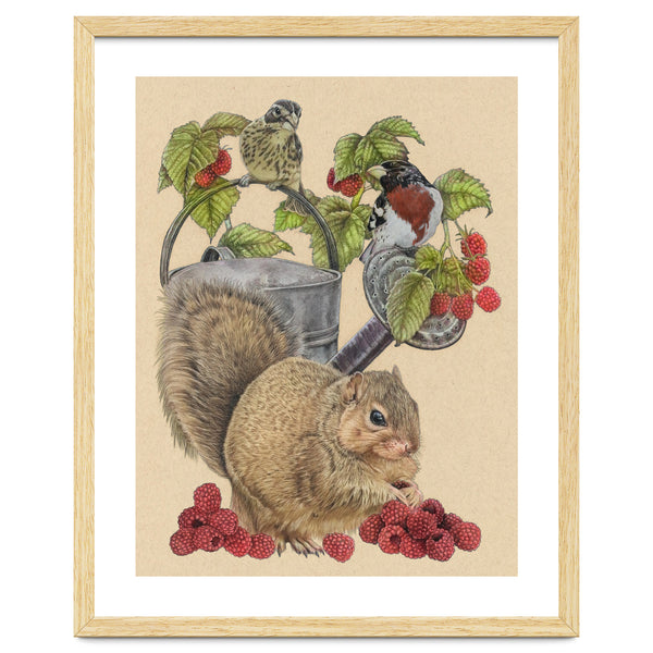 Squirrel Bgmatch
