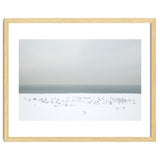 Seagulls in the winter snow beach thumbnail