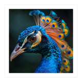 Peacock Bird Portrait Detailed Feathers Vibrant Colors (Print Only) thumbnail