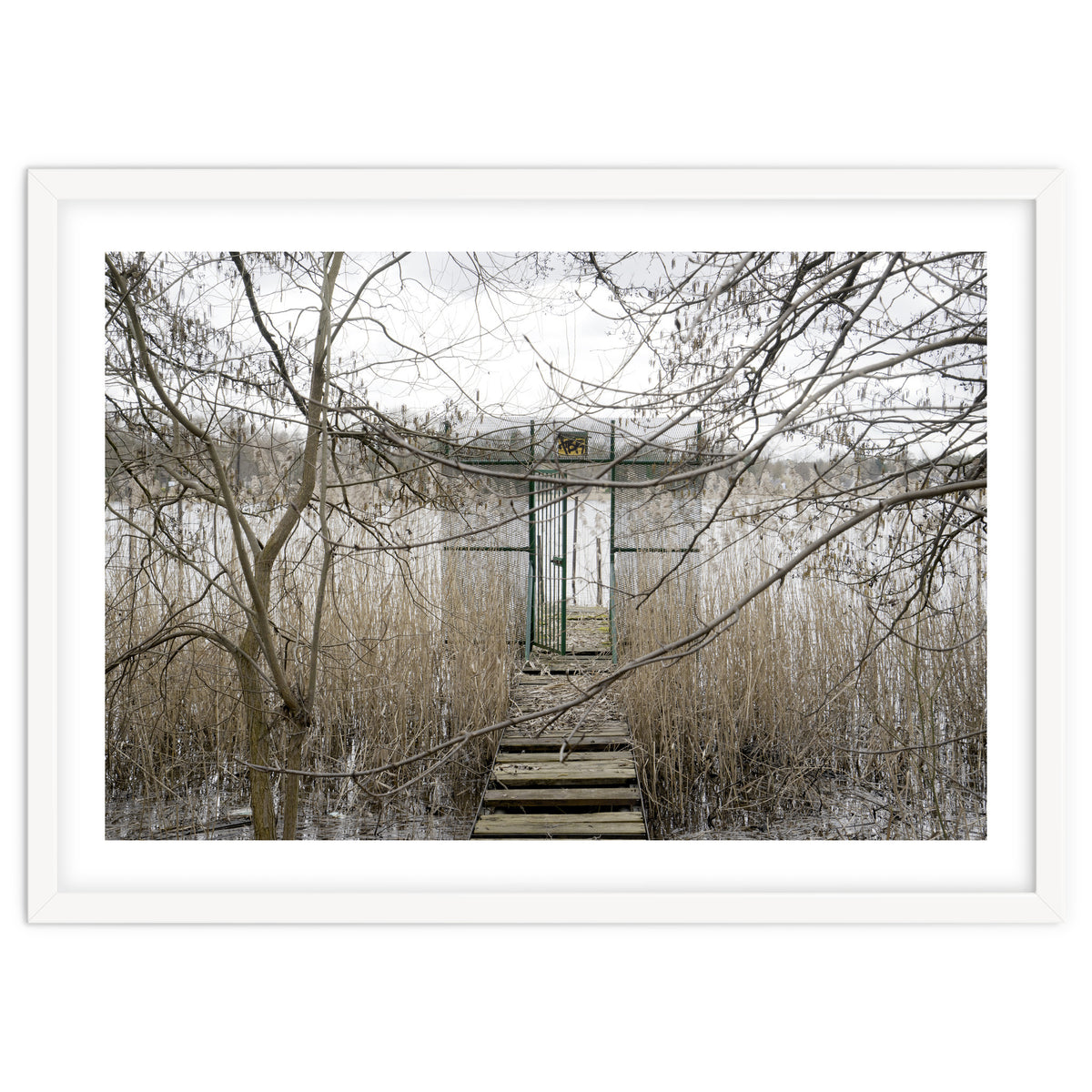 The gate to the lake