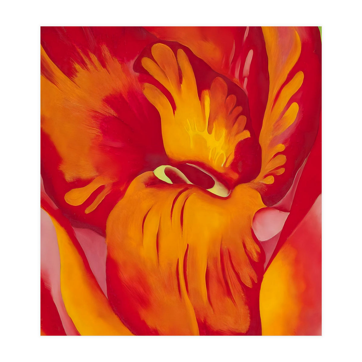 Georgia O’Keeffe – Canna Red and Orange (1926) | Vibrant Modernist Floral Painting in Bold Organic Forms (Print Only)