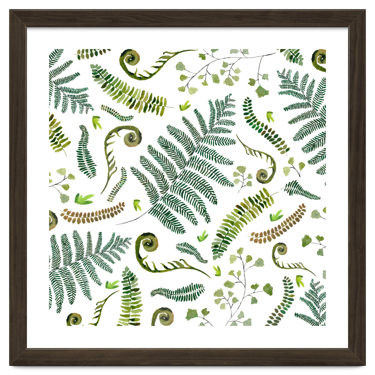 Spring Fern Pattern