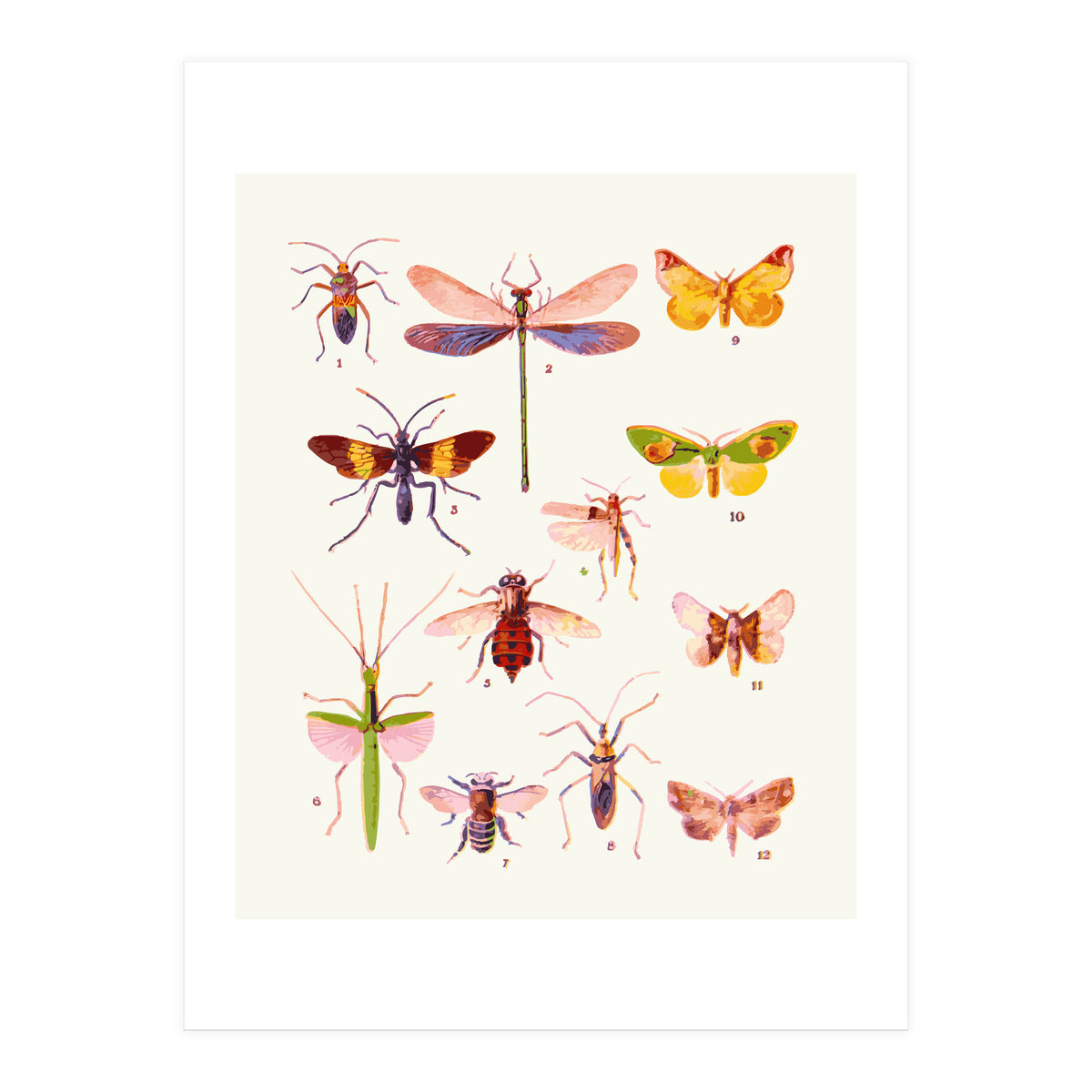 Beautiful Creatures (Print Only)