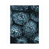 Succulent Plant Blue Ii (Print Only) thumbnail