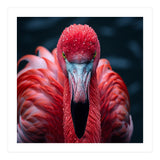 Close Up Flamingo Face With Water Droplets (Print Only) thumbnail