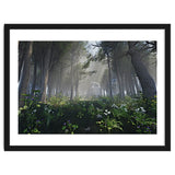 Art In The Forest thumbnail
