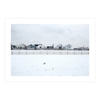 A seagull and snow covered houses (Print Only)
