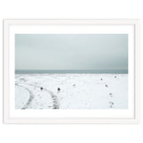 Seagulls in the winter snow beach thumbnail