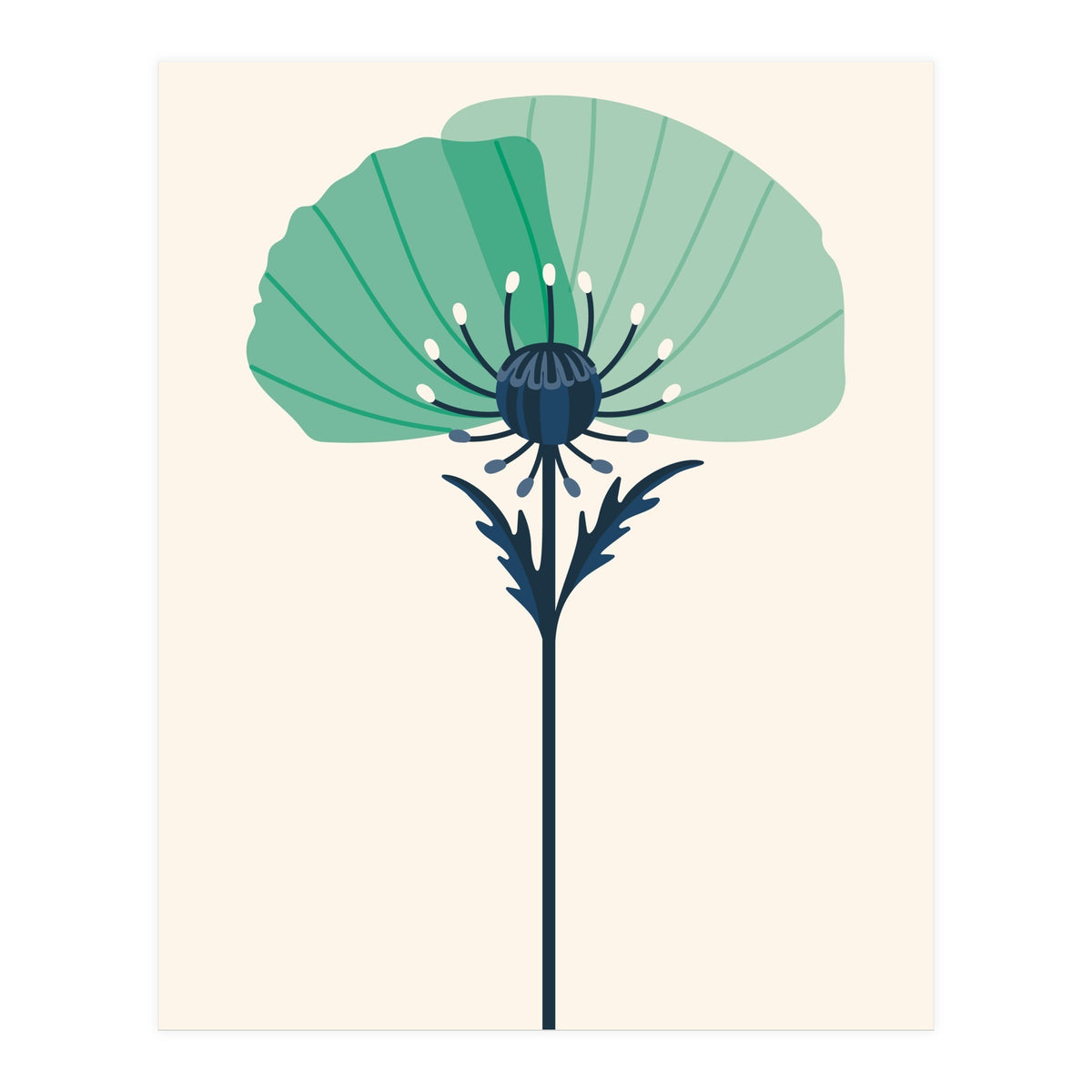 Teal Half Poppy (Print Only)
