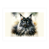 Majestic Long Haired Cat Portrait (Print Only) thumbnail