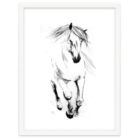 Runninh Ghorse In Water