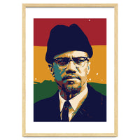 Malcolm X v2