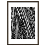 Black Tectorius Plant Shoots Art thumbnail