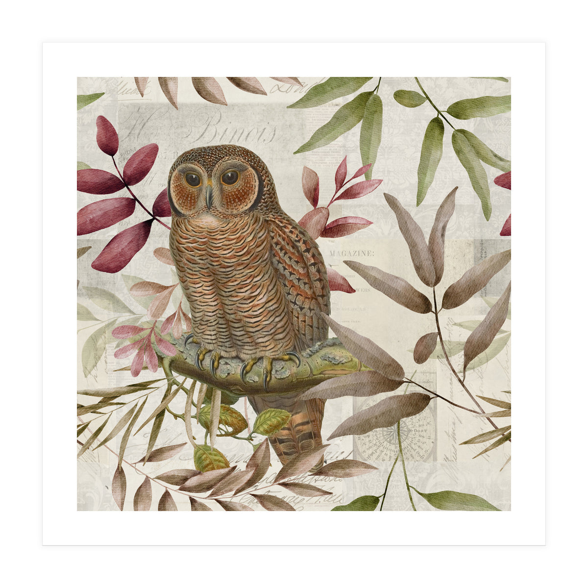 Autumn Owl (Print Only)