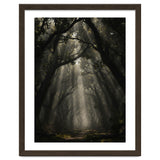 Enchanted Canopy: Mystical Forest Path thumbnail