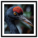 Black Crane Bird Head With Red Crown And Raindrops thumbnail