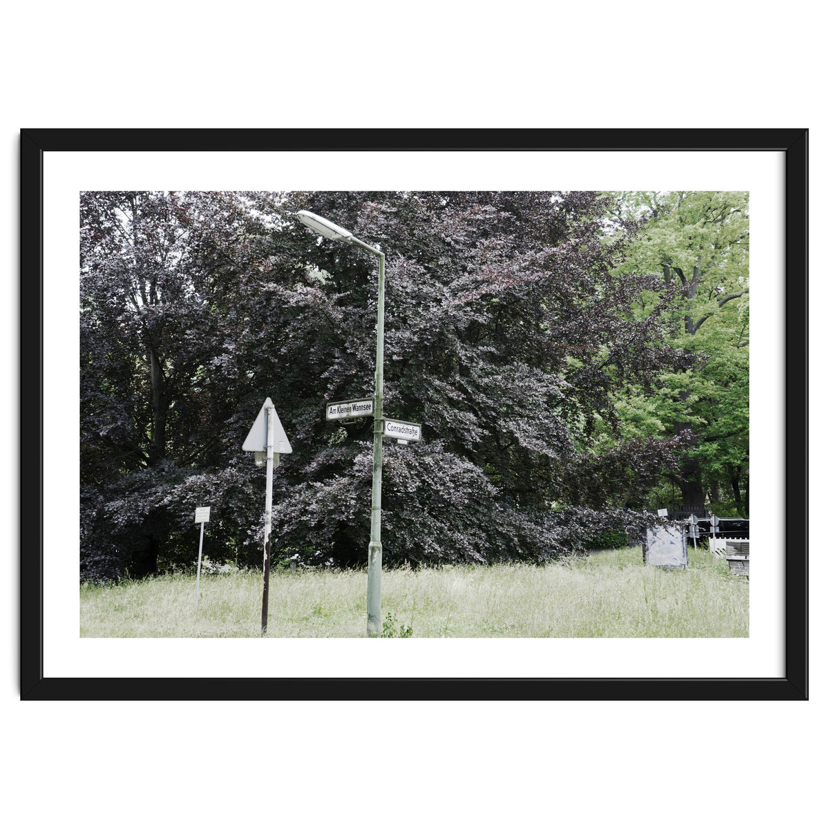 Signs at the corner of the street