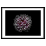 Backyard Flowers No 118 Color Version thumbnail