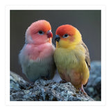 Pair Of Lovebirds Sitting On Rocks (Print Only) thumbnail