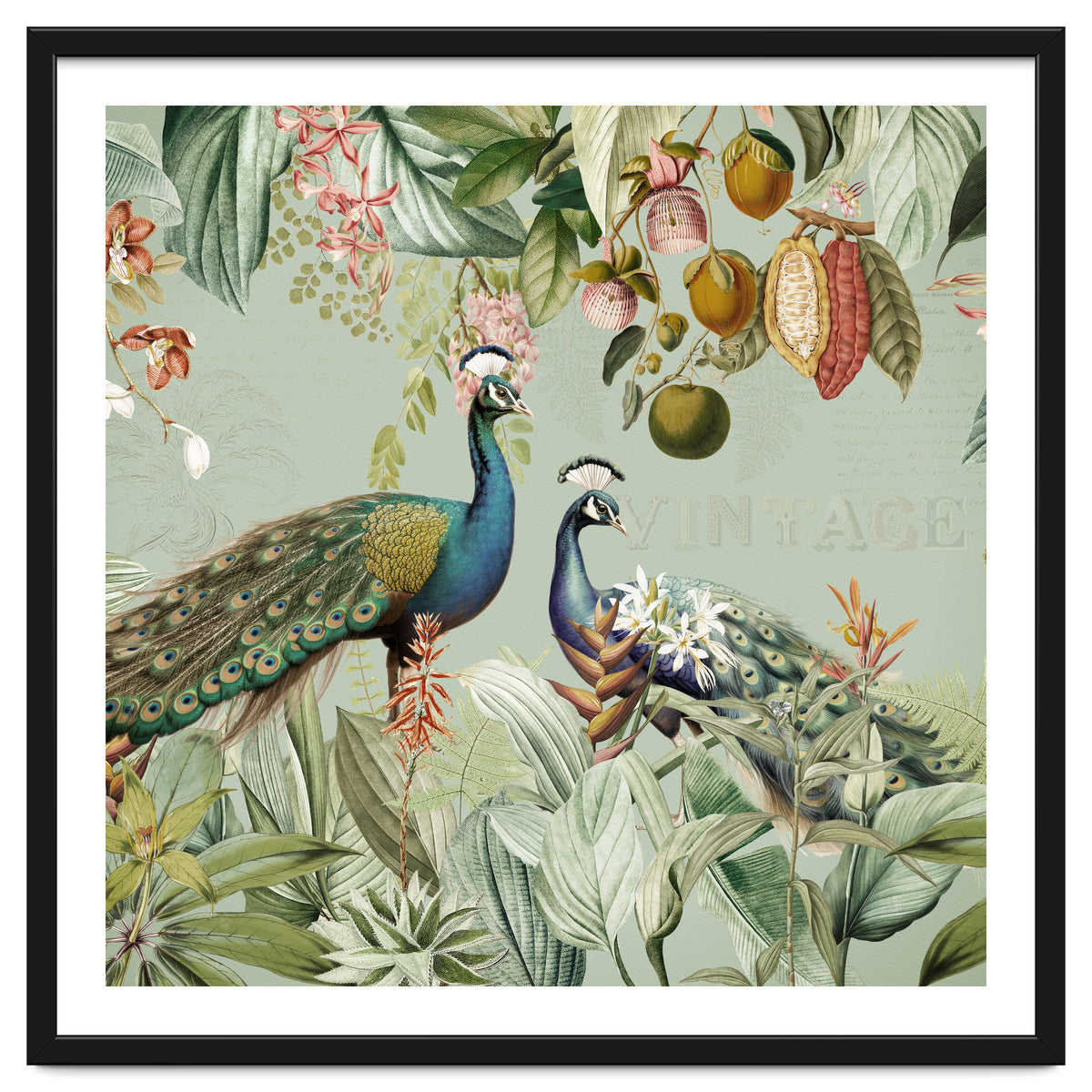 Vintage Exotic Asian Peacocks In Tropical Jungle Landscape