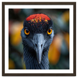 Close Up Of A Strikingly Beautiful Bird Face thumbnail