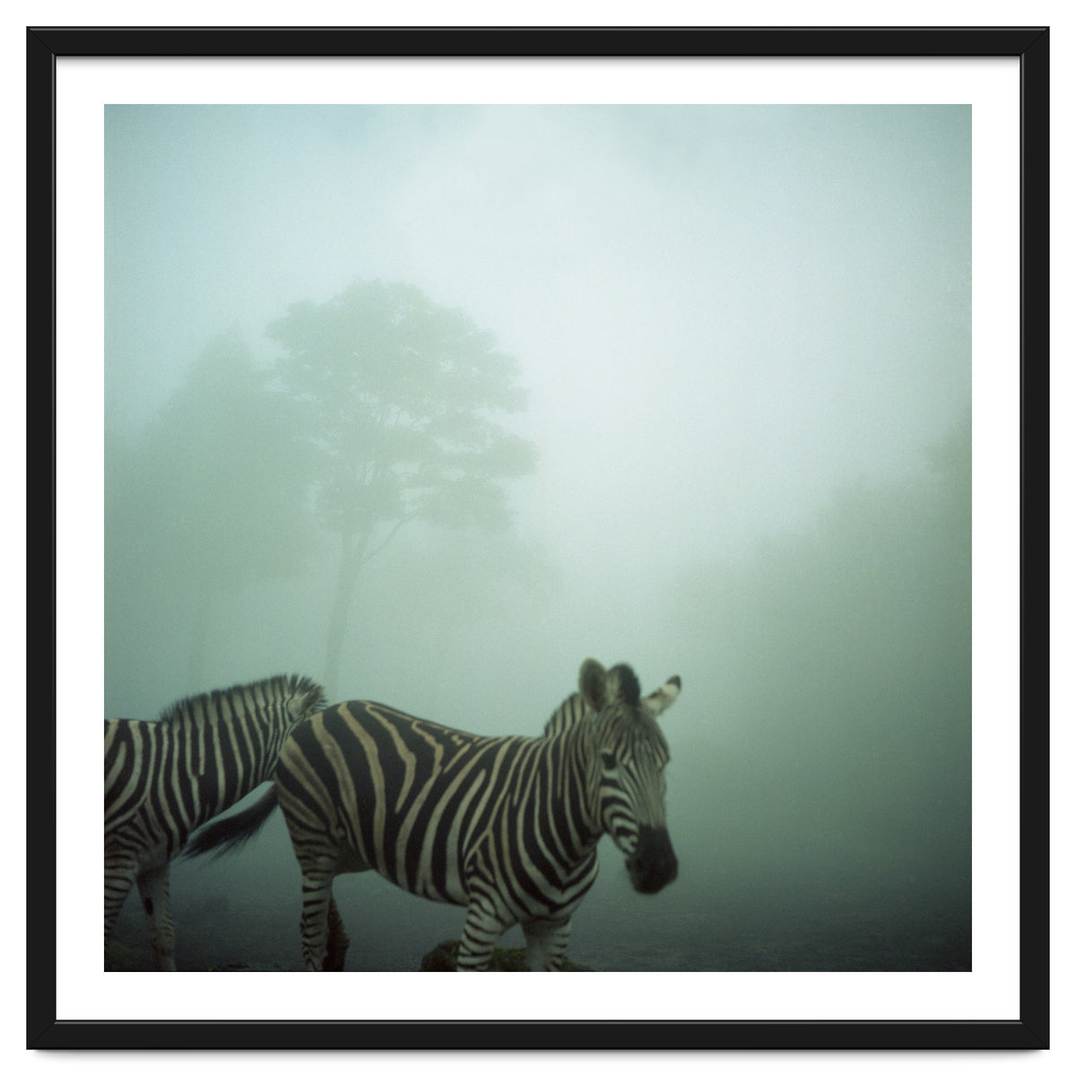 Silence of breath - 16