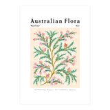 Australian Flora: Wax Flower (Print Only) thumbnail